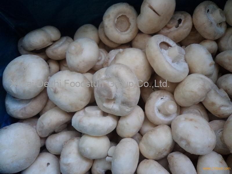 frozen mushroom/champignon,whole white mushroom