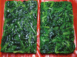 Frozen Spinach Leaf Cuts,Block Frozen