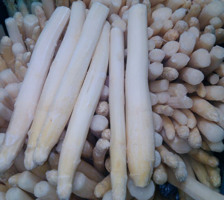 WHITE ASPARAGUS