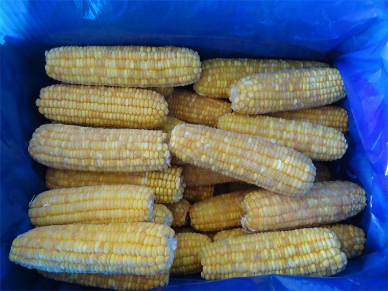 CORN COBS